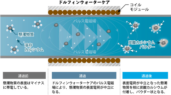 スケール抑制のメカニズム