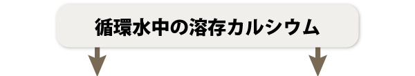 クーリングタワー配管内の循環水中に溶存しているカルシウム